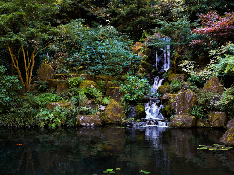 японский сад, водопад, камни, пруд, деревья, japanese garden
