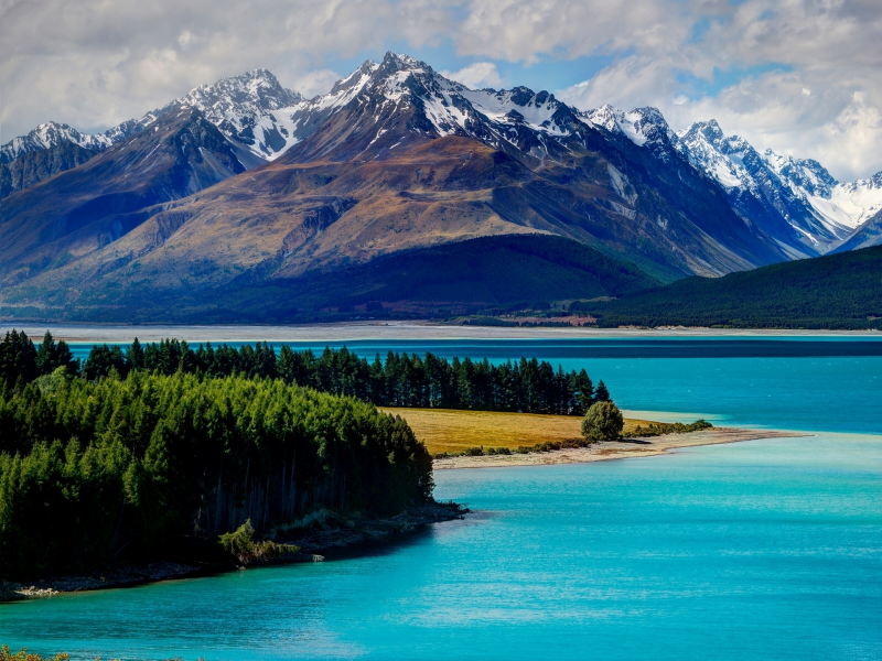 горы, озеро, lake tekapo, лес, new zealand, текапо, новая зеландия