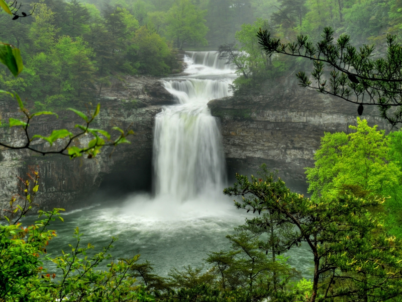 поток, скалы, лес, водопад, alabama, ветки, desoto falls, деревья