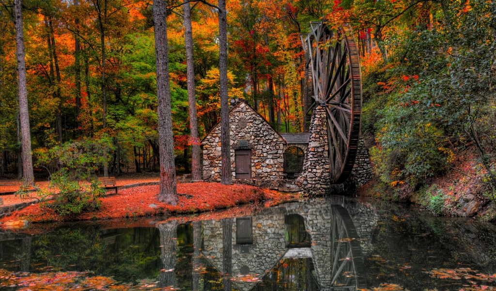 river, hdr, water mill, trees, water, autumn, park, leaves, alley, mill, walk, view, forest, nature