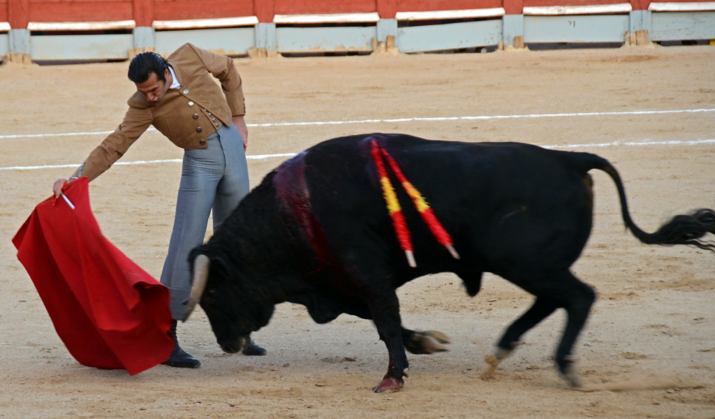 festival, fiesta, toros, bull, spain