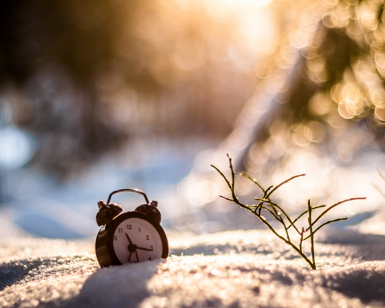снег, трава, будильник, часы, зима, боке
