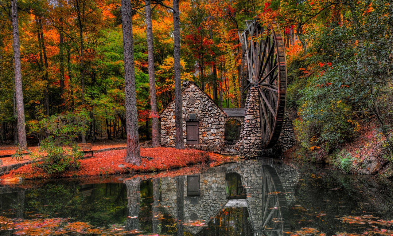 river, hdr, water mill, trees, water, autumn, park, leaves, alley, mill, walk, view, forest, nature