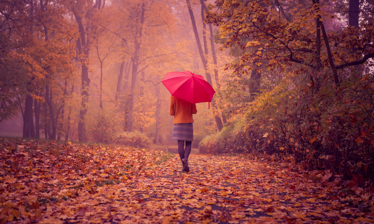 спина, листва, девушка, красный зонтик, осень, пейзаж