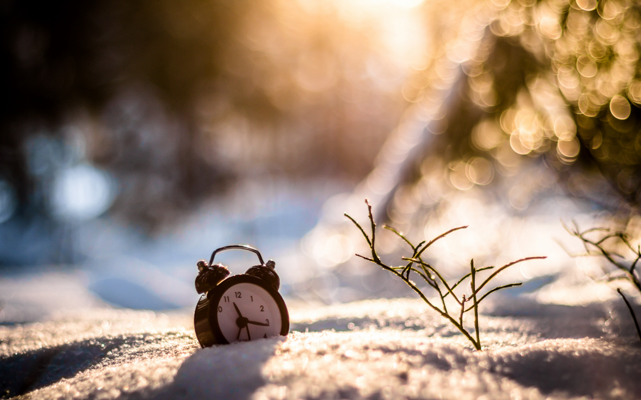 снег, трава, будильник, часы, зима, боке
