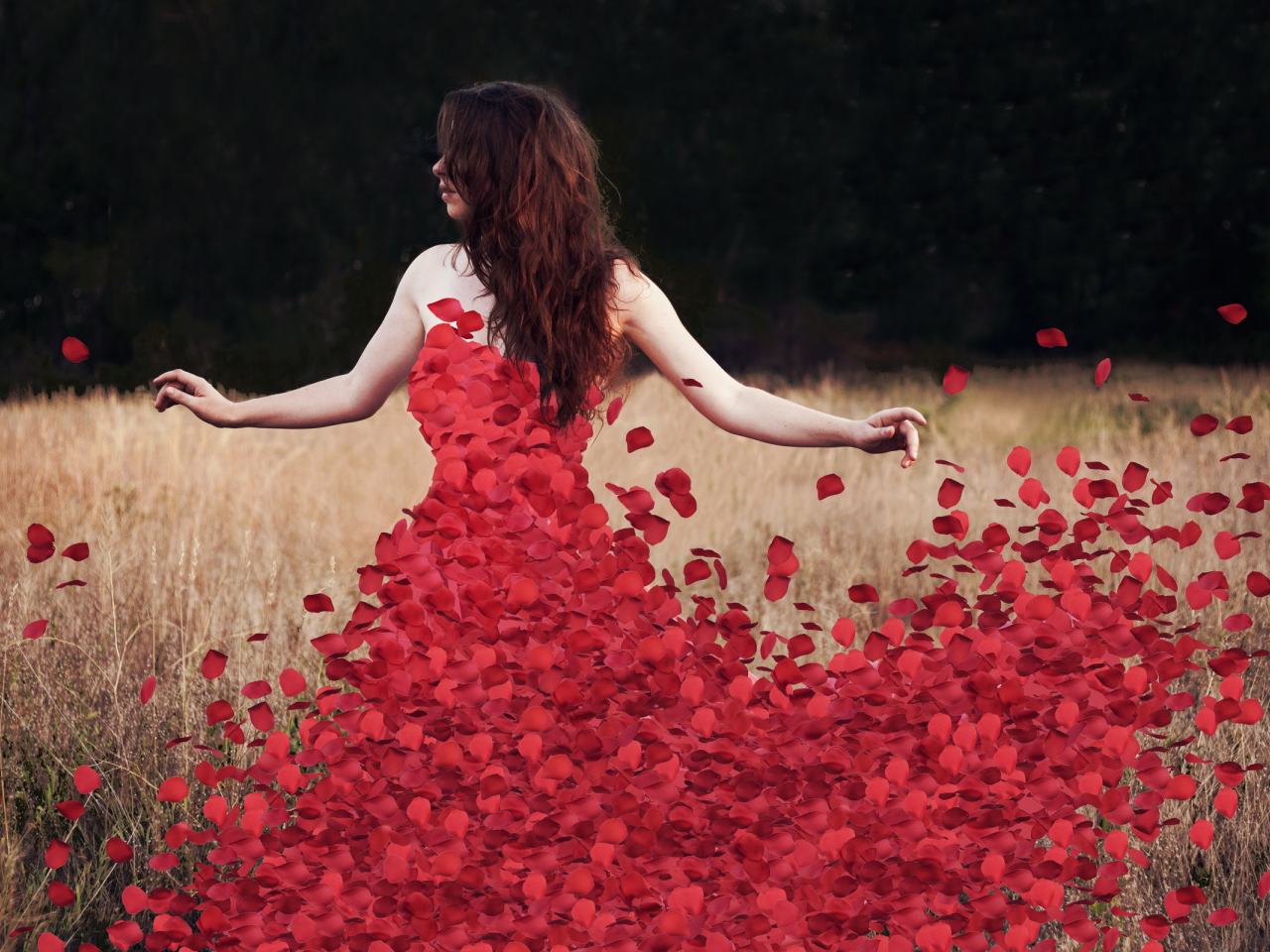 petals, flowers, rosedress