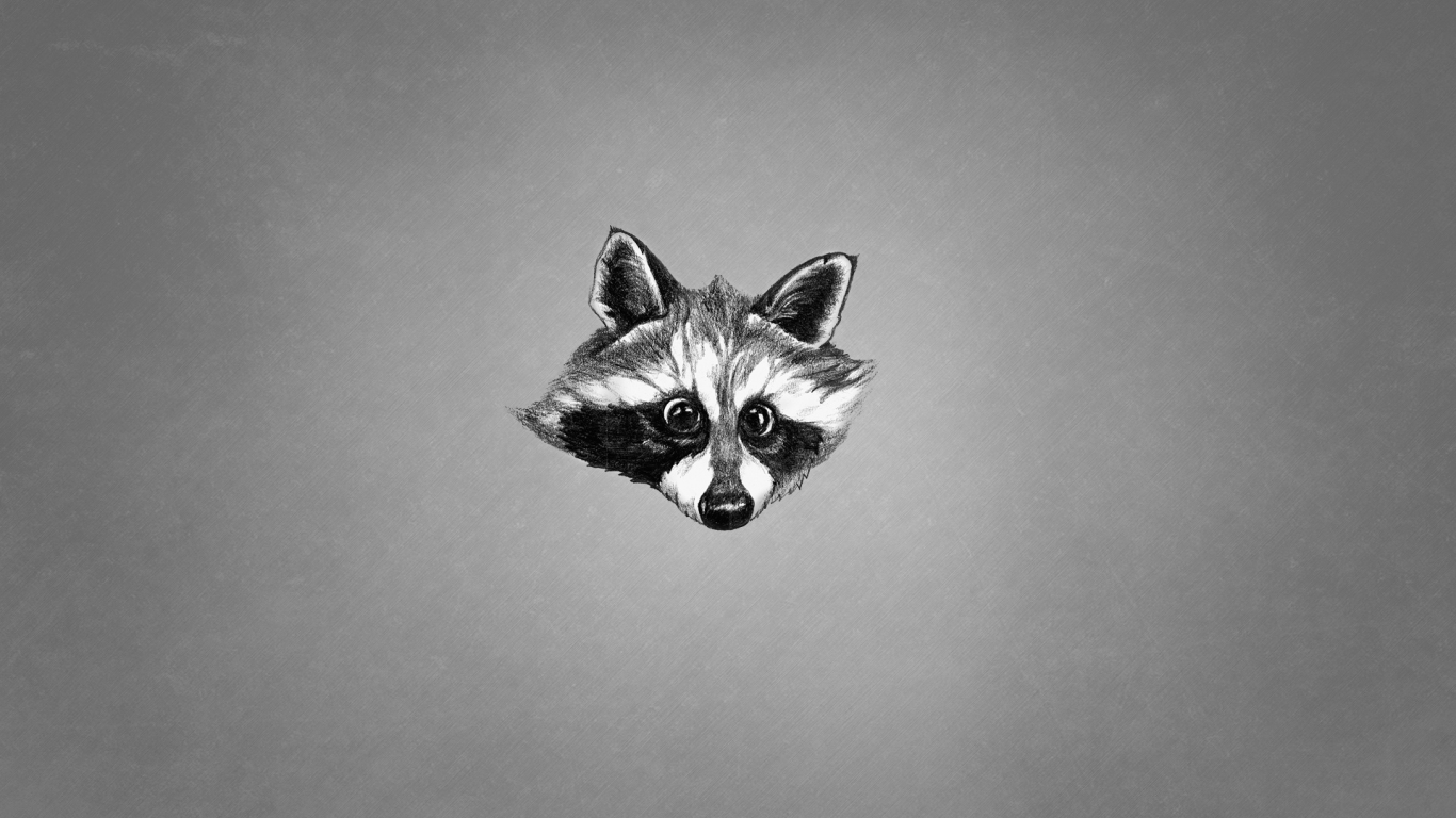 енот, животное, минимализм, черно-белый, raccoon, морда