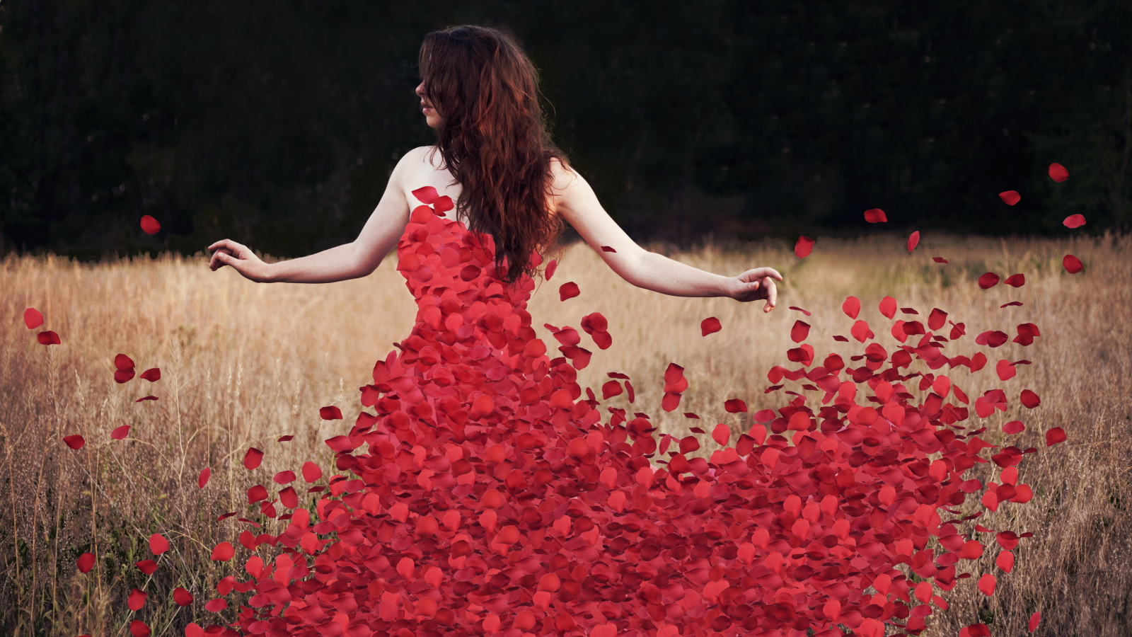 petals, flowers, rosedress