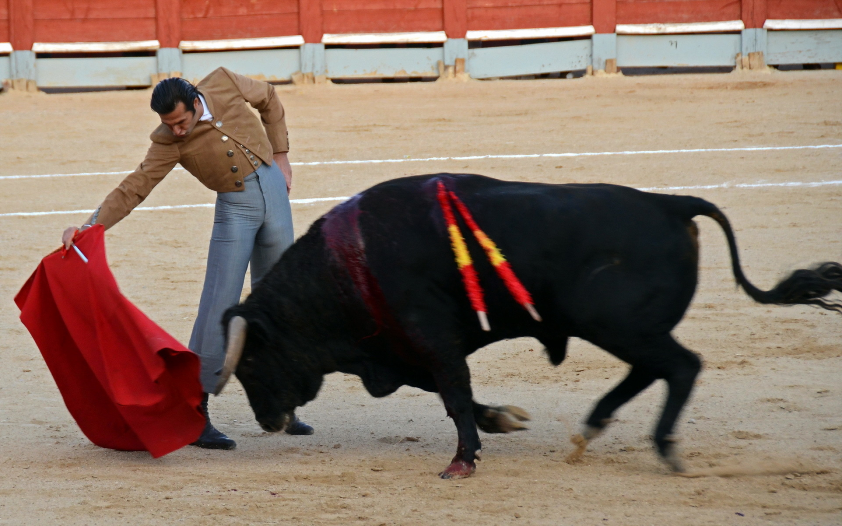 festival, fiesta, toros, bull, spain