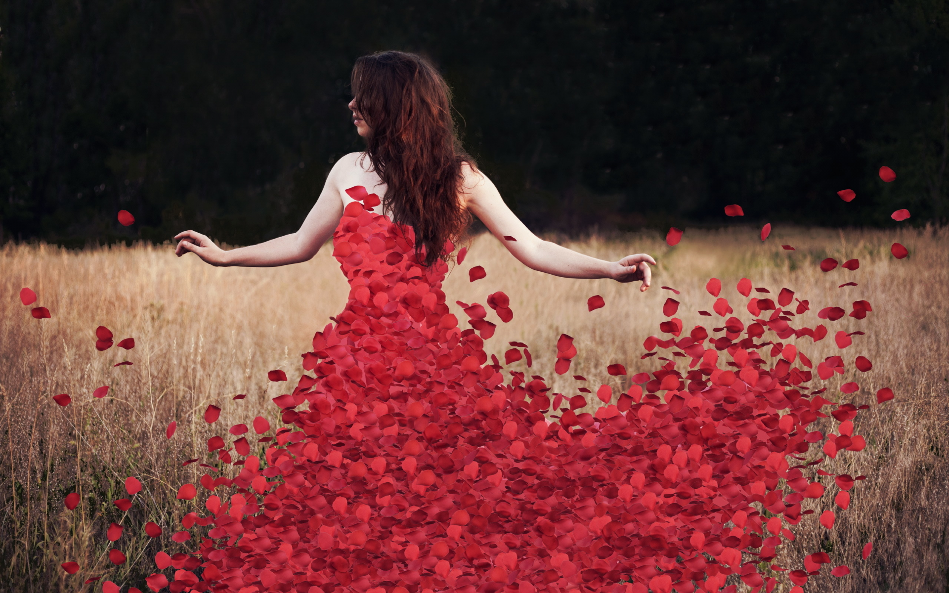 petals, flowers, rosedress