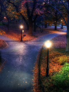 деревя, фонари, парк, ночь, осень