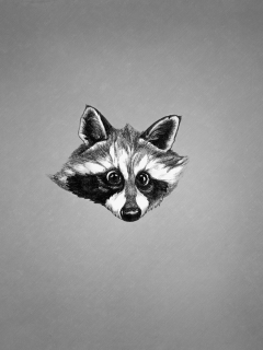 енот, животное, минимализм, черно-белый, raccoon, морда
