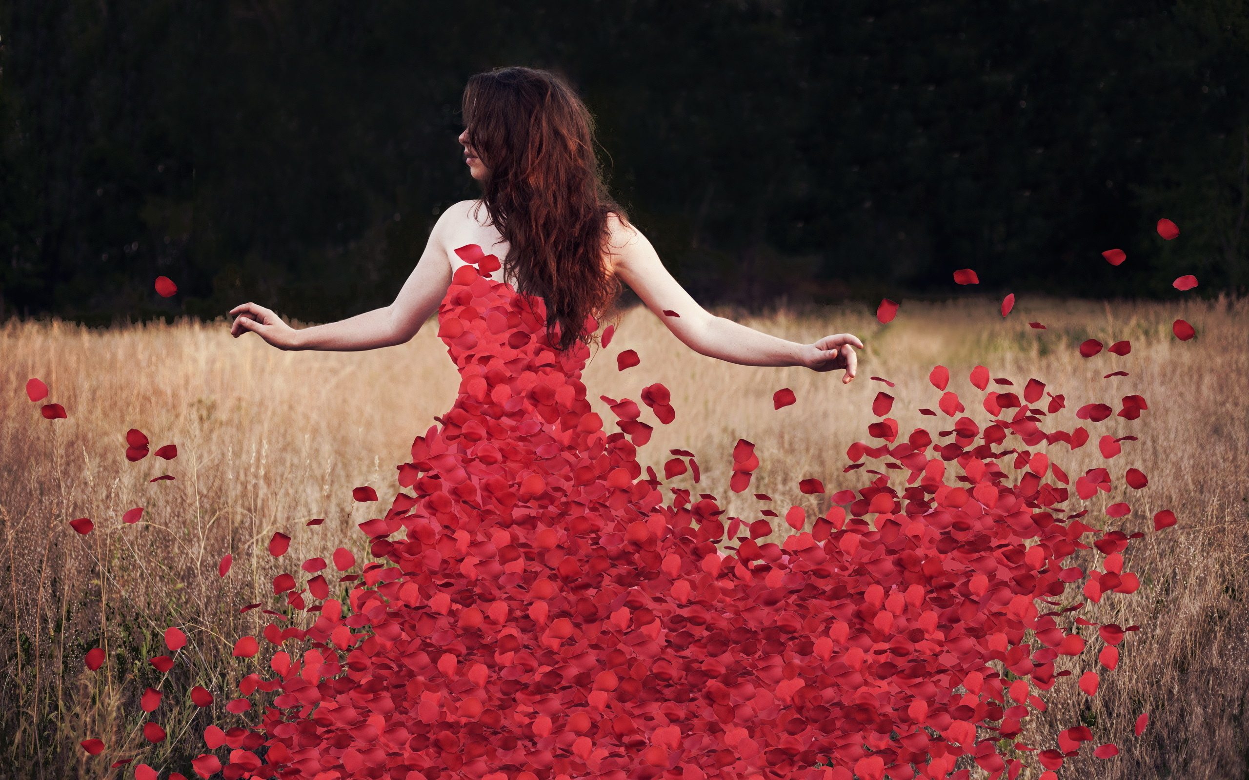 petals, flowers, rosedress