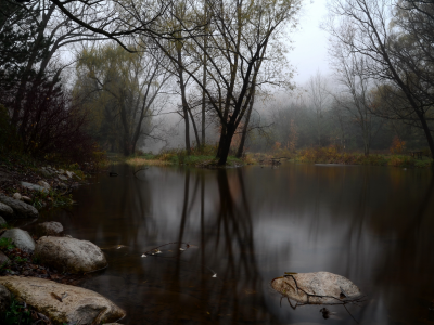камни , озеро, осень, туман, лес