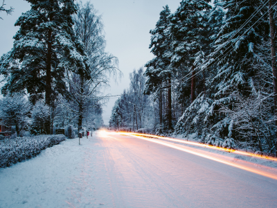 зима, снег, деревья, елки, природа, дорога, выдержка