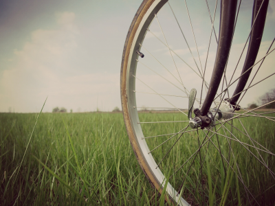 колесо, настроения, природа, велосипед, трава, зелень