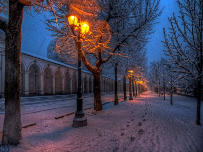 nature, парк, road, walk, snow, street, path, winter, trees, природа, lights, park