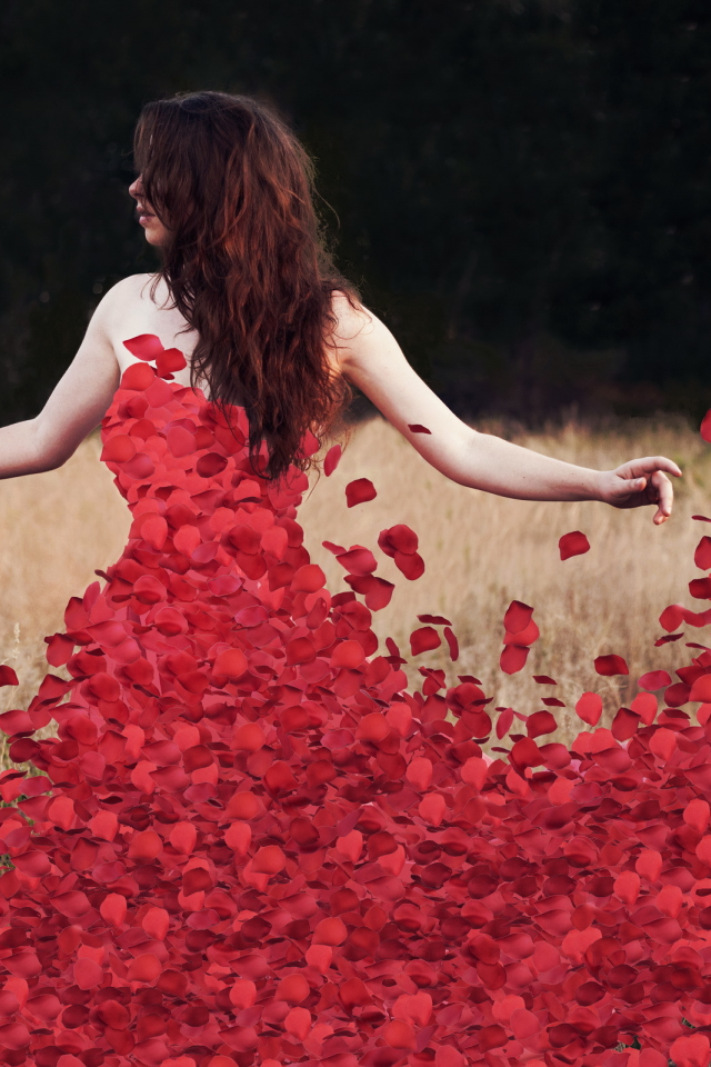 petals, flowers, rosedress