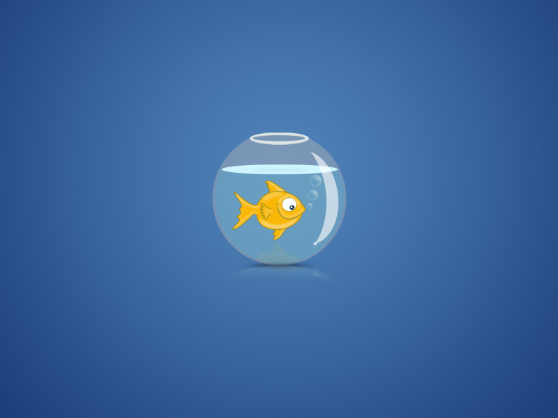 золотая рыбка, фон, пузыри, вода, аквариум
