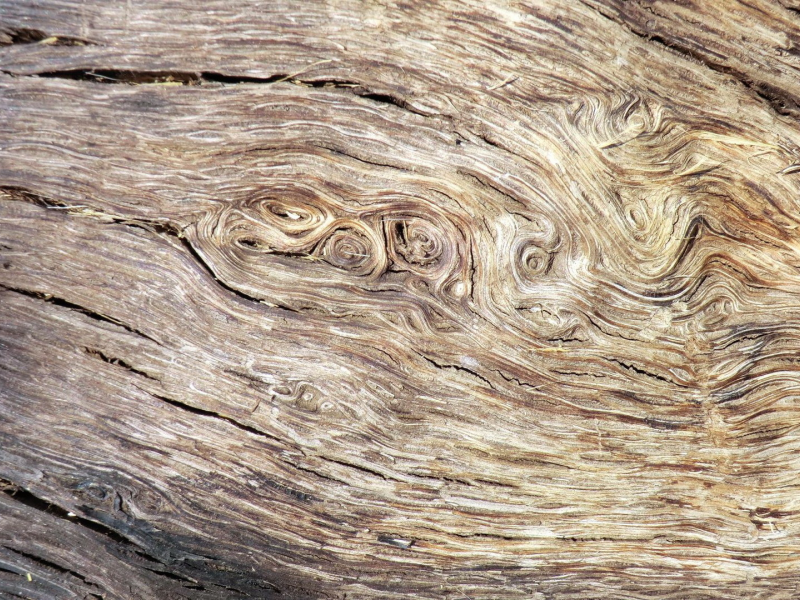 texture, wood, abstract