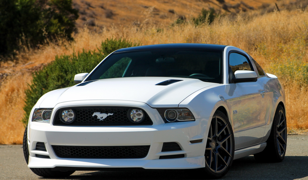 ford, mustang, 5.0, gt