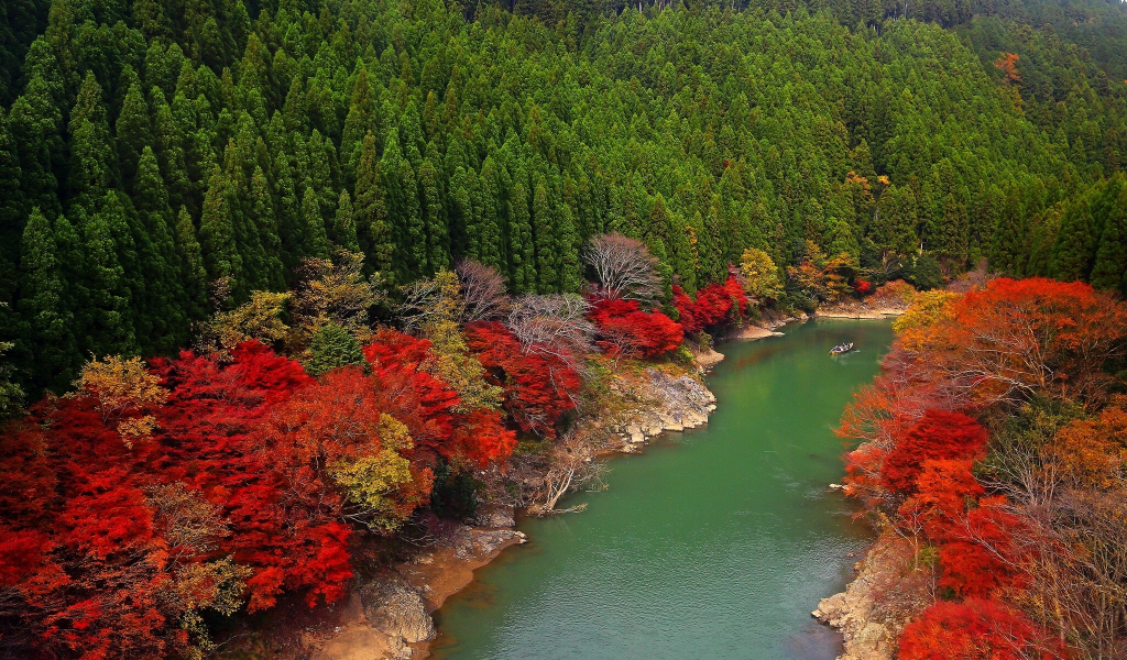 лес, arashiyama, река, kyoto, oi river, japan, деревья, япония