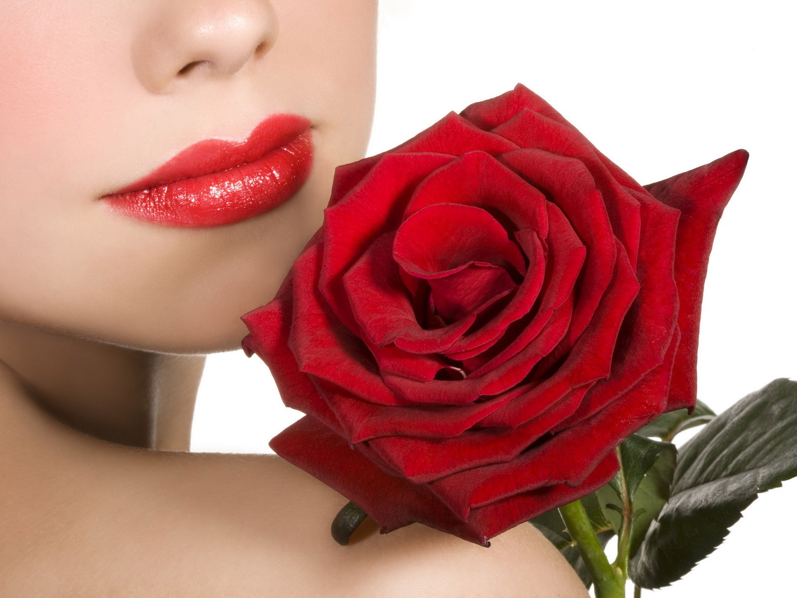 красная, цветок, губы, девушка, розы, цветы