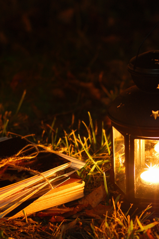 фонарик, трава, фонарь, открытки, ikea, свеча, листья