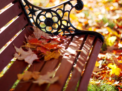 осень, лавка, листья, парк, лавочка, скамейка, скамья