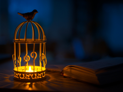 птица, свеча, книга, фонарь, тени, фонарик, свет