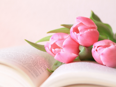 цветы, тюльпаны, книга