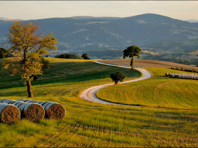 дорога, деревья, italia , холмы, поле