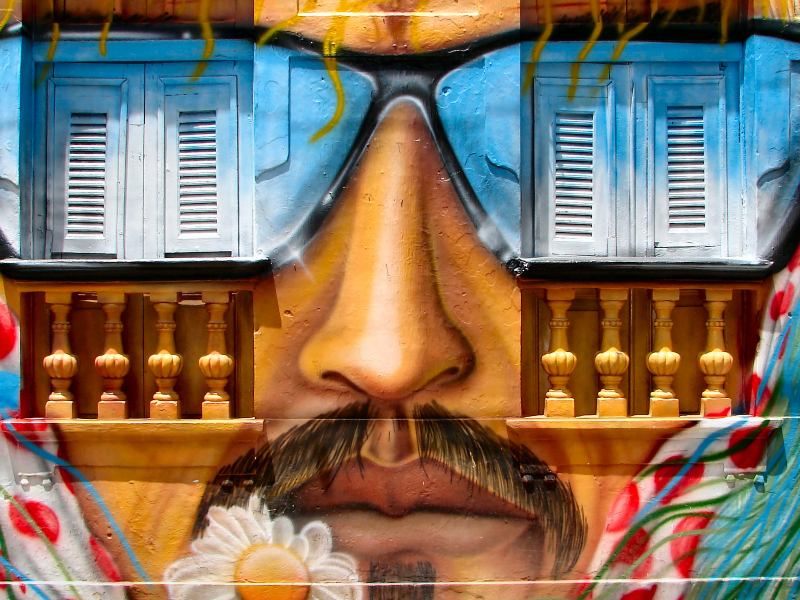 artistic, glasses sun, window, nose, whiskers, mouth, flower art, graffiti, wall