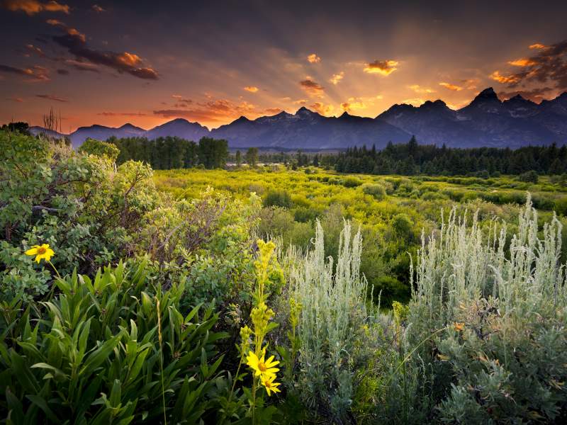 wyoming, сша, вайоминг, grand teton national park, snake river, usa