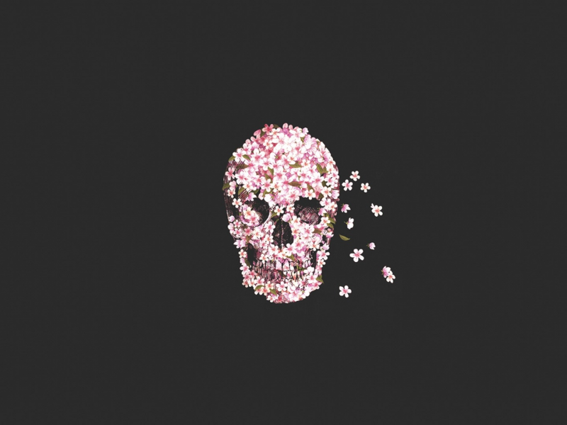 skull, череп, flower, цветы