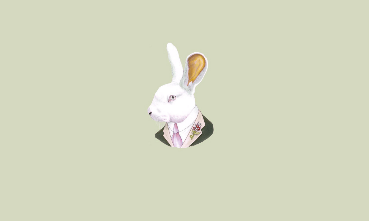 галстук, голова, ухи, кролик, заяц, светлый фон, rabbit