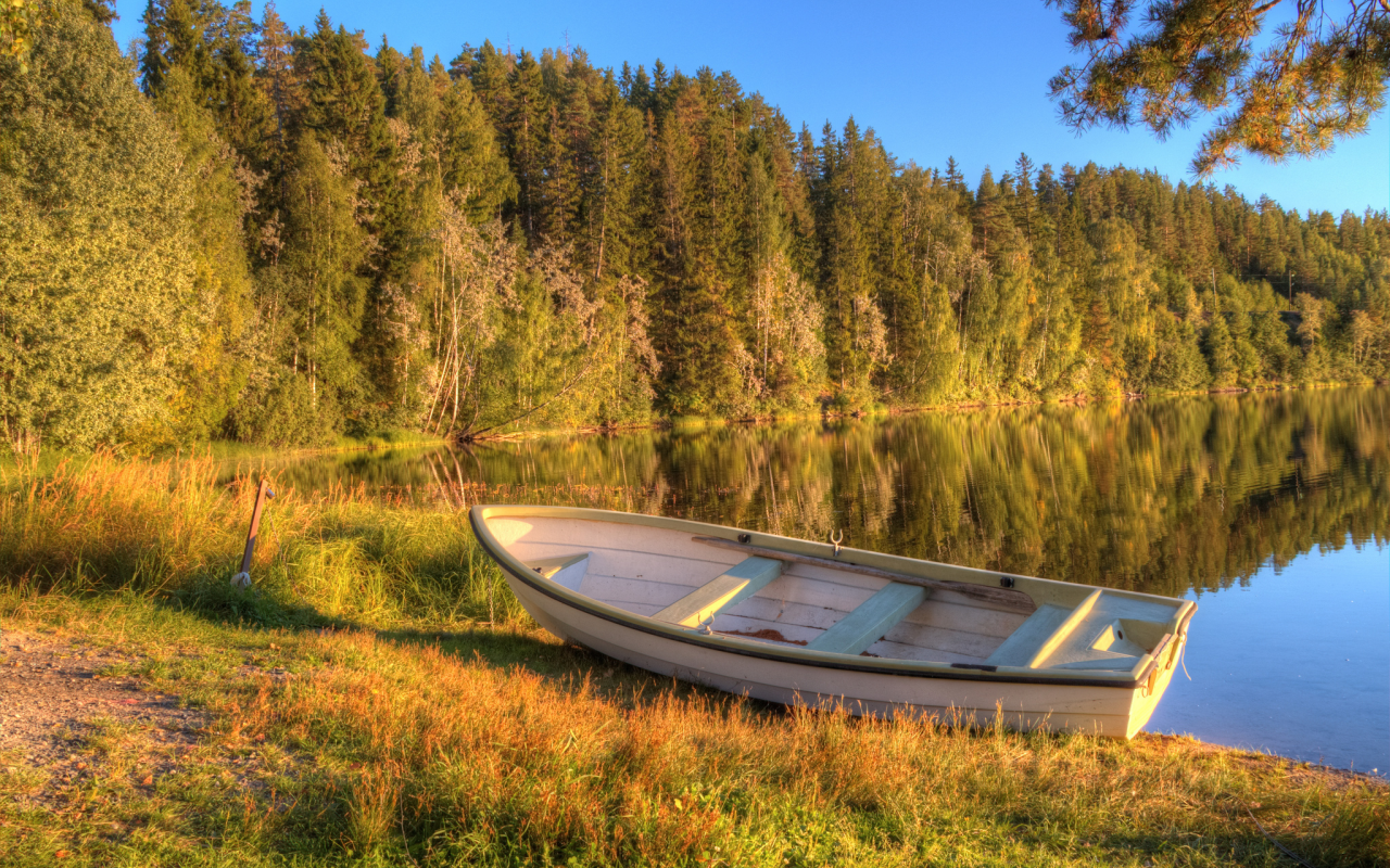 озеро, утро, ранняя, осень, лес, лодка
