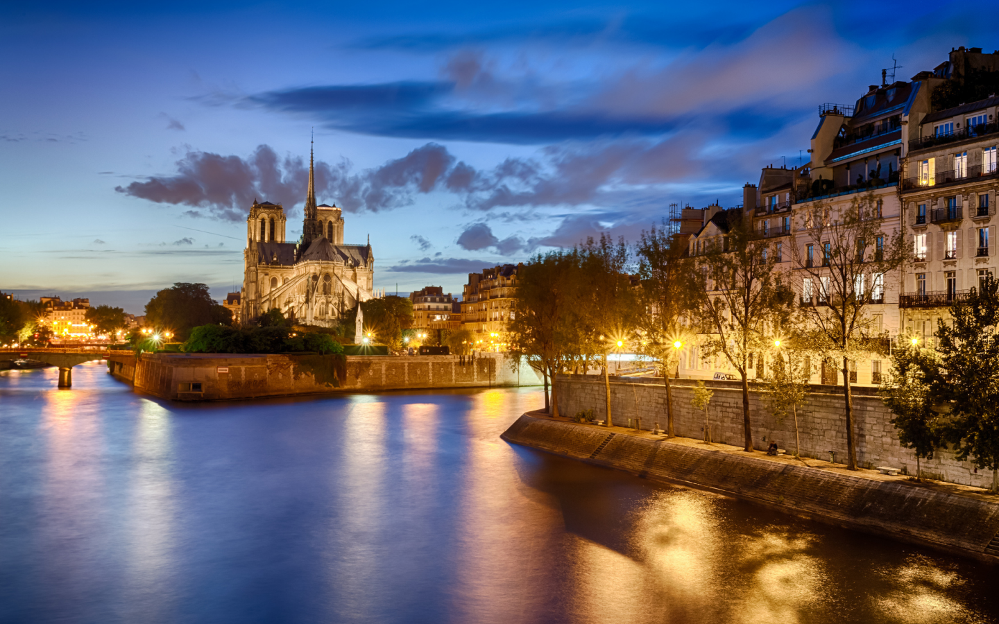 нотр-дам-де-пари, france, paris, париж, notre dame de paris, франция