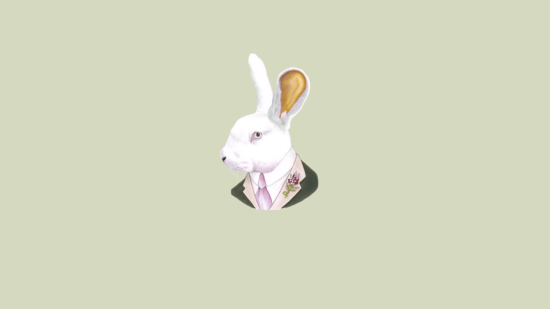 галстук, голова, ухи, кролик, заяц, светлый фон, rabbit