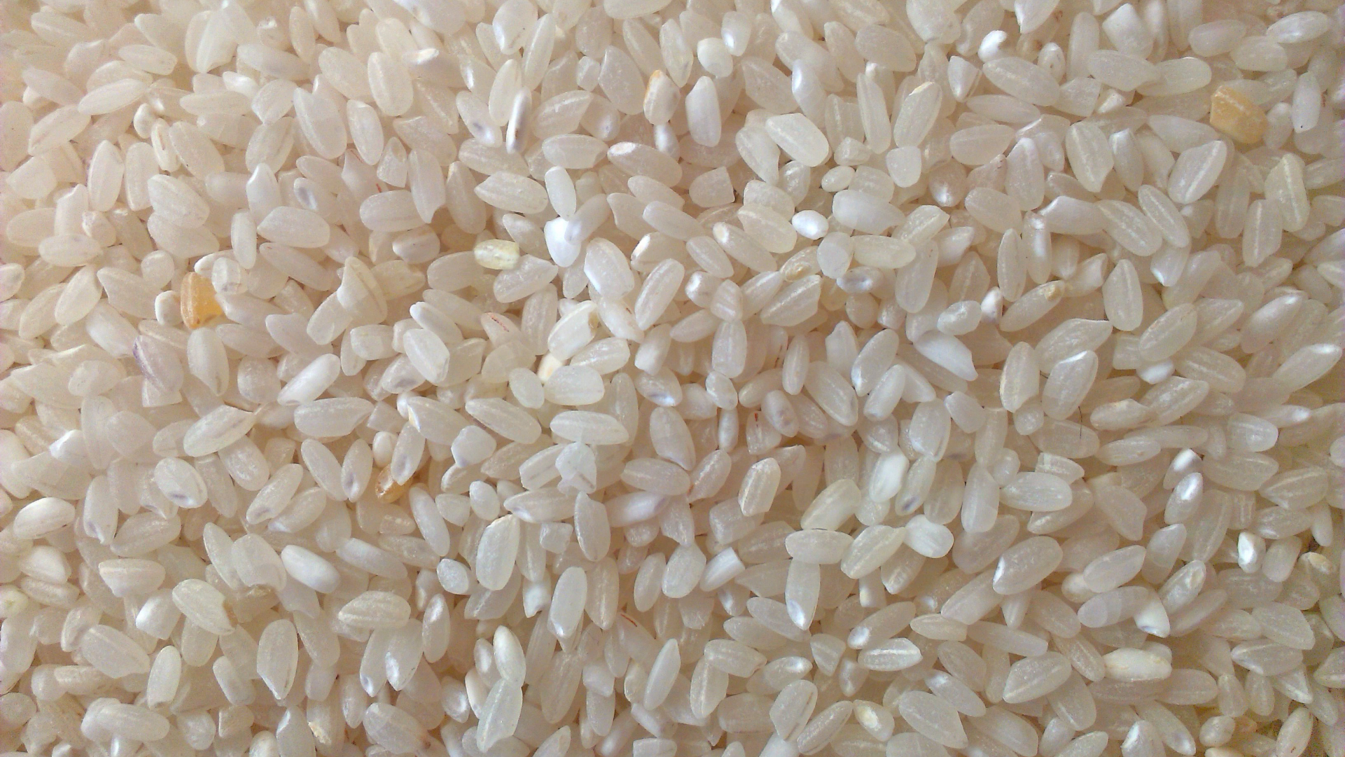 Рис, зерно