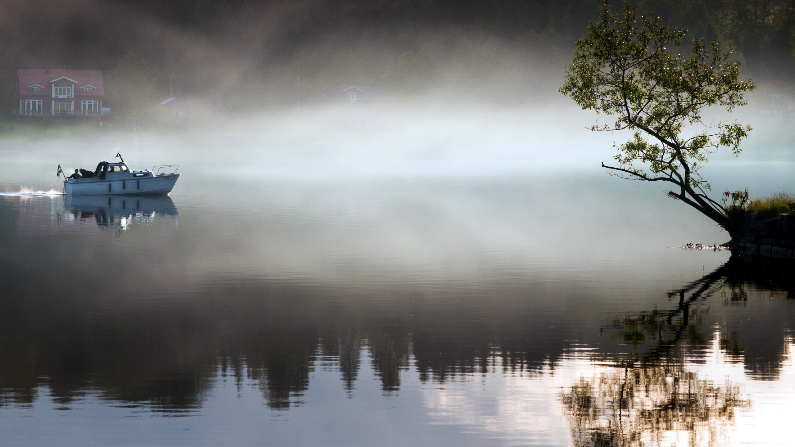 пейзаж, утро, дерево, озеро, туман, лодка
