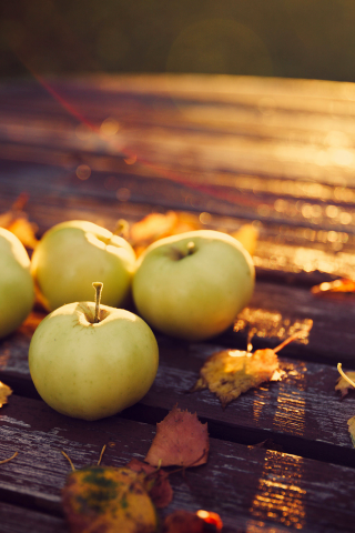 урожай, вечер, осень, природа, яблоки, листья, стол