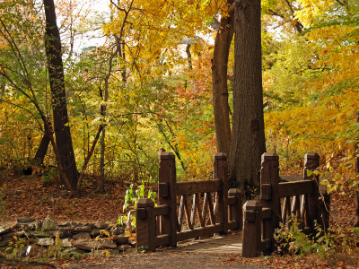 парк, природа, пейзаж, осень, bridge, мост, resize, wood