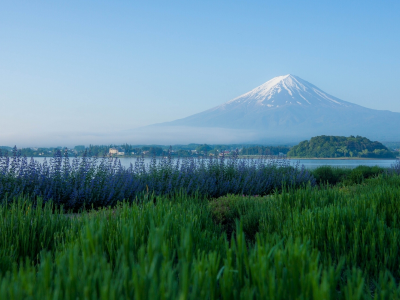 фудзияма, japan, озеро кавагути, lake kawaguchi, фудзи, mount fuji