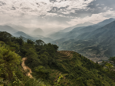 лес, горы, туман, вьетнам, долина