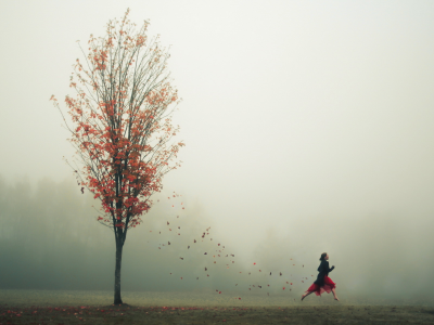 дерево, туман, осень, девушка, листья