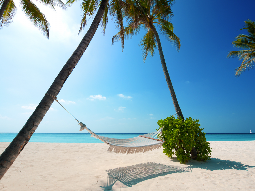 green plant, beaches, hammock, white sand, boat, palm trees