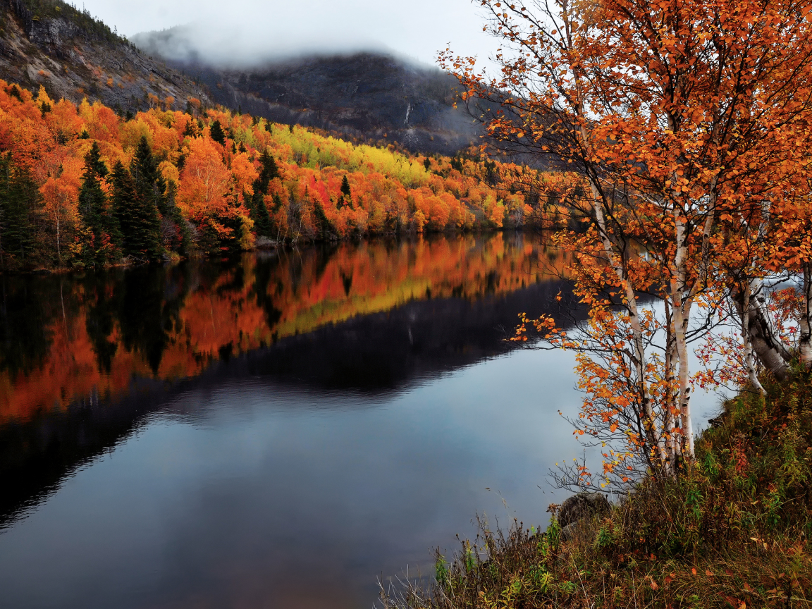 осень, река, провинция ньюфаундленд и лабрадор, канада