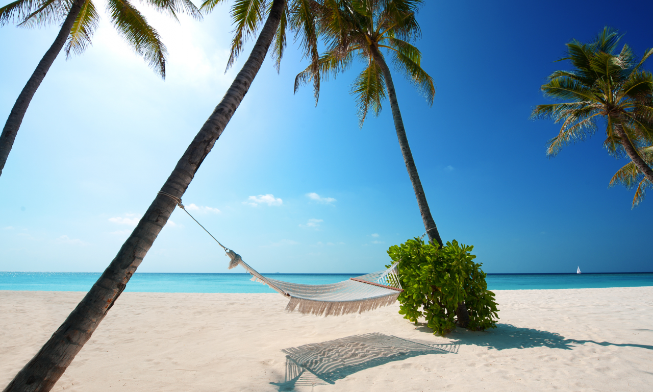 green plant, beaches, hammock, white sand, boat, palm trees