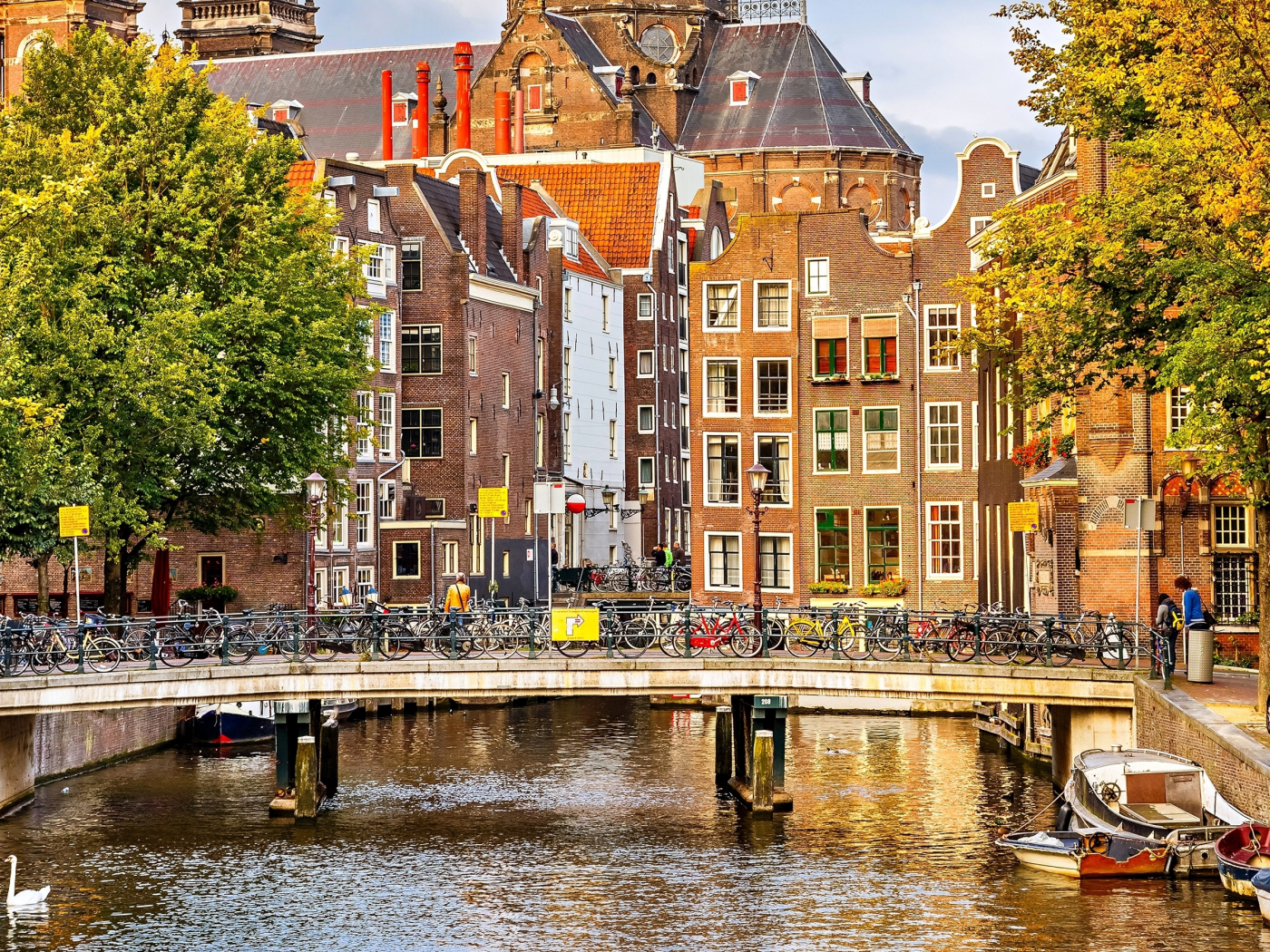 нидерланды, деревья, nederland, амстердам, осень, amsterdam